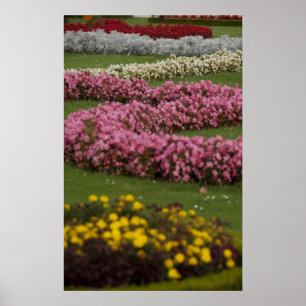 Österreich, Wien Maria Theresas Barock Poster