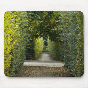 Österreich, Wien. Maria Theresias Barock 2 Mousepad