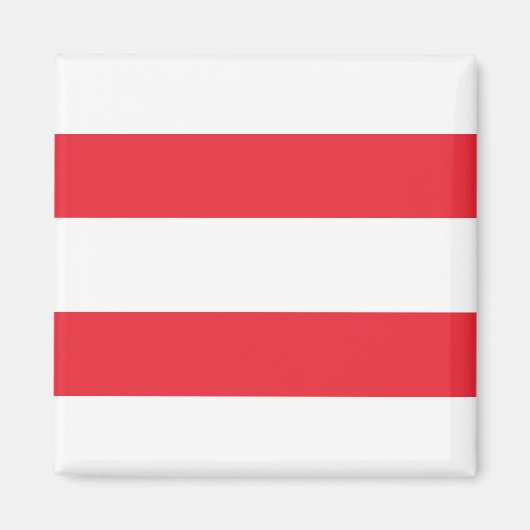 Österreichische Flagge Magnet (Vorne)
