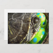 Osterschale Feiertagspostkarte (Vorne/Hinten)