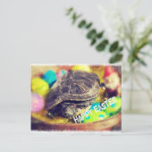 Osterschale Feiertagspostkarte (Stehend Vorderseite)