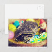 Osterschale Feiertagspostkarte (Vorne/Hinten)