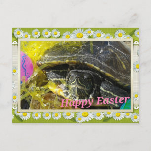 Osterschildkröte Blume Border Digital Art Feiertagspostkarte