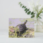 Osterschildkröte Postkarte (Stehend Vorderseite)