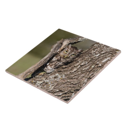 Osterschnecke Fliese (Seite)