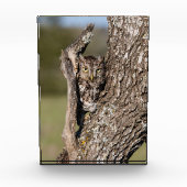 Osterschnecke Fotoblock (Vorderseite)