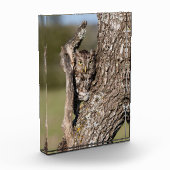 Osterschnecke Fotoblock (Links)