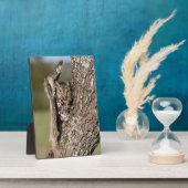 Osterschnecke Fotoplatte (Seite)