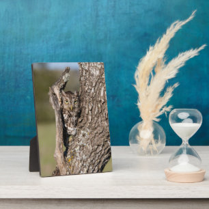 Osterschnecke Fotoplatte