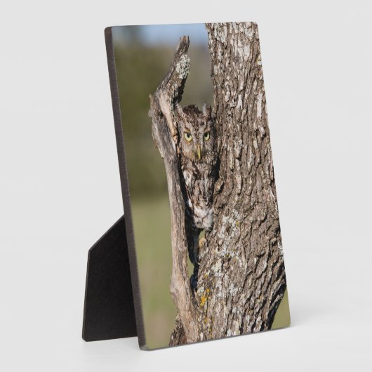 Osterschnecke Fotoplatte (Seite)