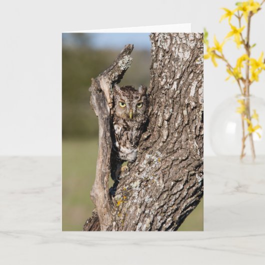 Osterschnecke Karte (Gelbe Blume)