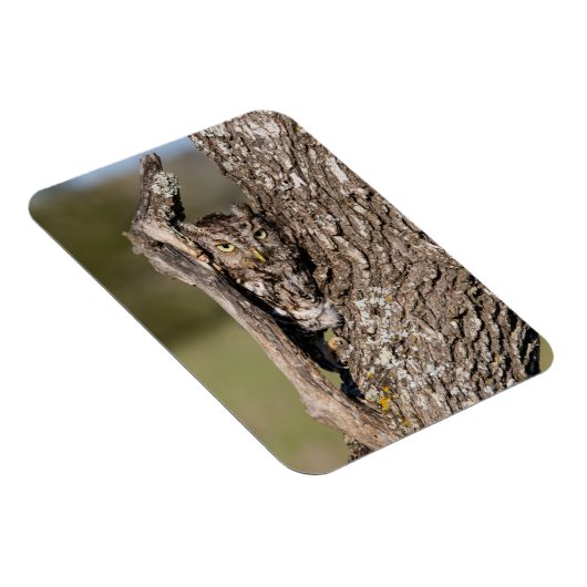 Osterschnecke Magnet (Rechte Seite)