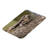 Osterschnecke Magnet (Linke Seite)