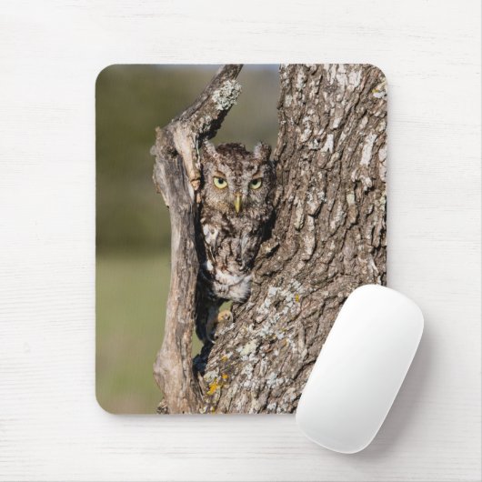 Osterschnecke Mousepad (Mit Mouse)