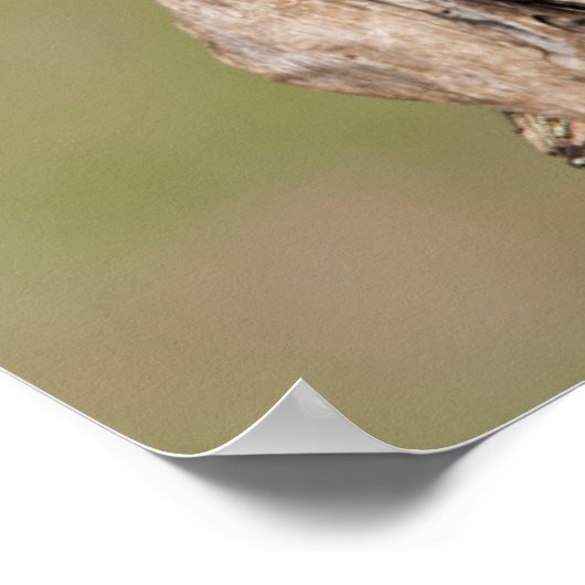 Osterschnecke Poster (Ecke)