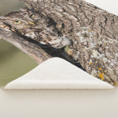 Osterschnecke Sherpadecke (3/4)