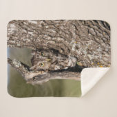 Osterschnecke Sherpadecke (Vorderseite (Horizontal))