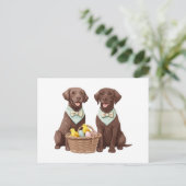 Osterschokoladenhunde Retriever Postkarte (Stehend Vorderseite)