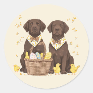 Osterschokoladenhunde Retriever Runder Aufkleber