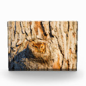 Osterschrei Fotoblock (Vorderseite)