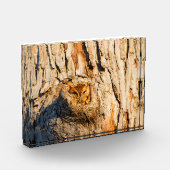 Osterschrei Fotoblock (Links)
