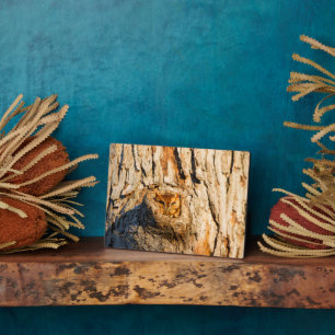 Osterschrei Fotoplatte