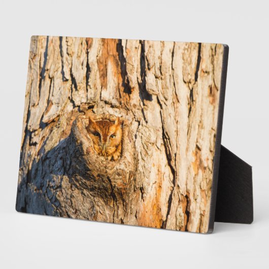 Osterschrei Fotoplatte (Seite)