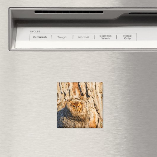 Osterschrei Magnet (In Situ (Geschirrspüler))