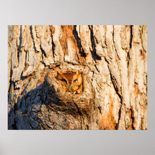 Osterschrei Poster (Vorne)