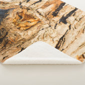 Osterschrei Sherpadecke (3/4)