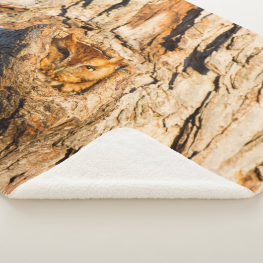 Osterschrei Sherpadecke (3/4)