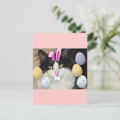 Osterschwarz-weiße Katze Feiertagspostkarte (Stehend Vorderseite)