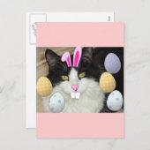 Osterschwarz-weiße Katze Feiertagspostkarte (Vorne/Hinten)