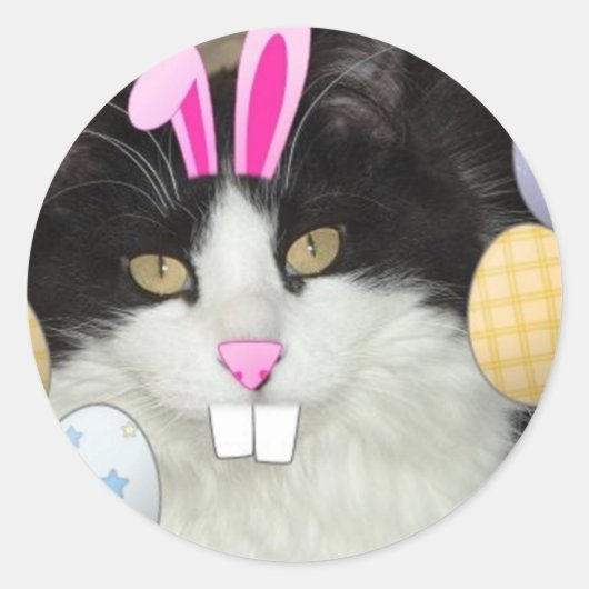 Osterschwarz-weiße Katze Runder Aufkleber (Vorderseite)