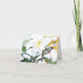 Ostersegmente 1 John 2:25 Bibelverse Feiertagskarte