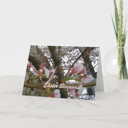 Ostersegnung Feiertagskarte (Vorderseite)