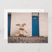 Ostersonne Feiertagspostkarte (Vorne/Hinten)