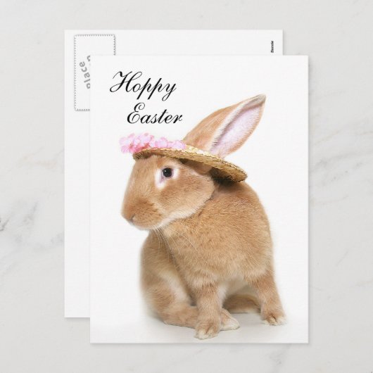 Ostersonnenknötchen Feiertagspostkarte (Vorne/Hinten)