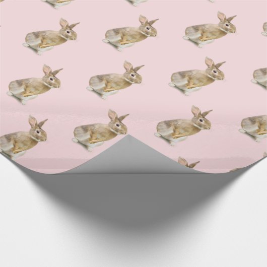 Ostersonnenstrabbe auf Rosa Geschenkpapier (Ecke)