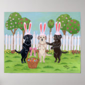 Ostersonnenwerkzeuge Poster (Vorne)