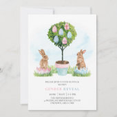 Ostersonnige Kaninchen Frühjahrsgeschlecht Einladung (Vorderseite)