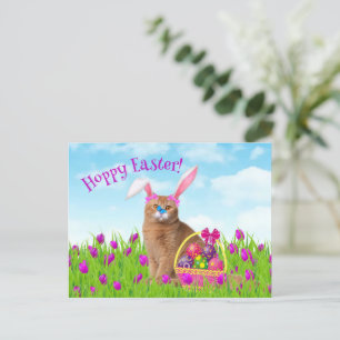 Ostersonnige Katze Frühlingsurlaub Postkarte