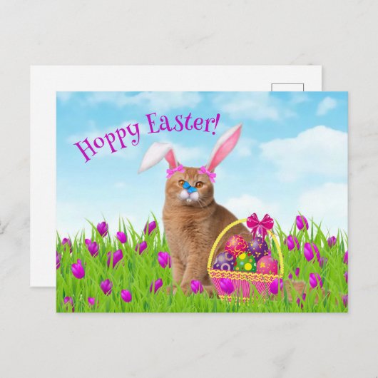 Ostersonnige Katze Frühlingsurlaub Postkarte (Vorne/Hinten)