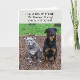 Ostersonnige Sticky Osterkarte Feiertagskarte