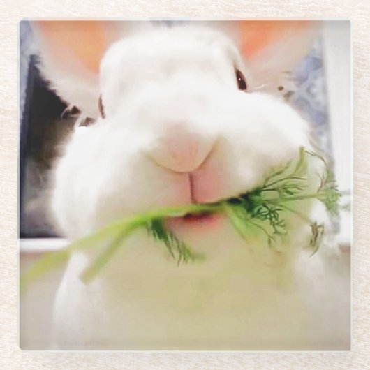 Ostersonnige Untersetzer (Vorderseite)