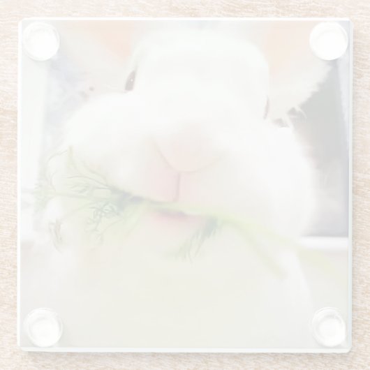 Ostersonnige Untersetzer (Rückseite)