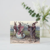 Ostersonniges Kameraeier Feiertagspostkarte (Stehend Vorderseite)