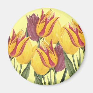 Ostertulpen Magnet