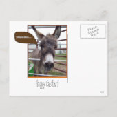 Osterüberraschung! Feiertagspostkarte (Rückseite)