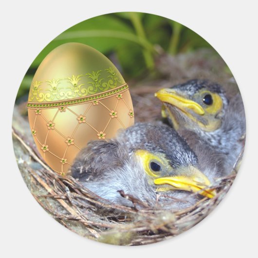 Osterüberraschung Runder Aufkleber (Vorderseite)